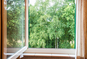 Wall Mural - nature landscape with a view through a window with green trees