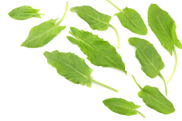 Wall Mural - fresh sorrel, garden sorrel, rumex acetosa, green leaves, isolated on white background. Top view