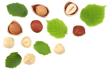 Wall Mural - hazelnuts with leaves isolated on white background. top view