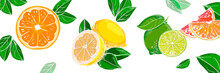 Hand Drawn Fruit Background. Vintage Colored Chalk Grungy Sketch. Lemon, Orange, Lime For Juice Menu Or Cover Design