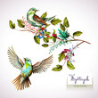 Nightingale on branches with leaves. Set of two birds. Hand drawn, watercolor. All objects are separated and easy to move. Vector - stock.