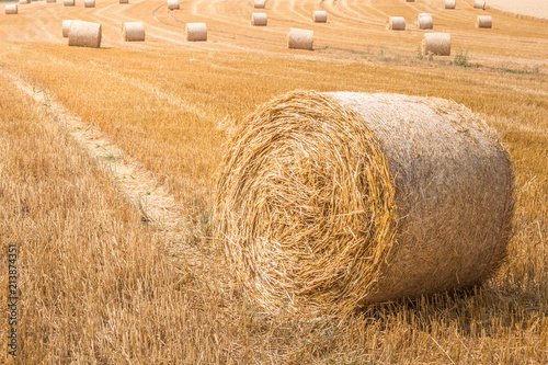 Fotografía Big Hay Bale and small ones in the Background