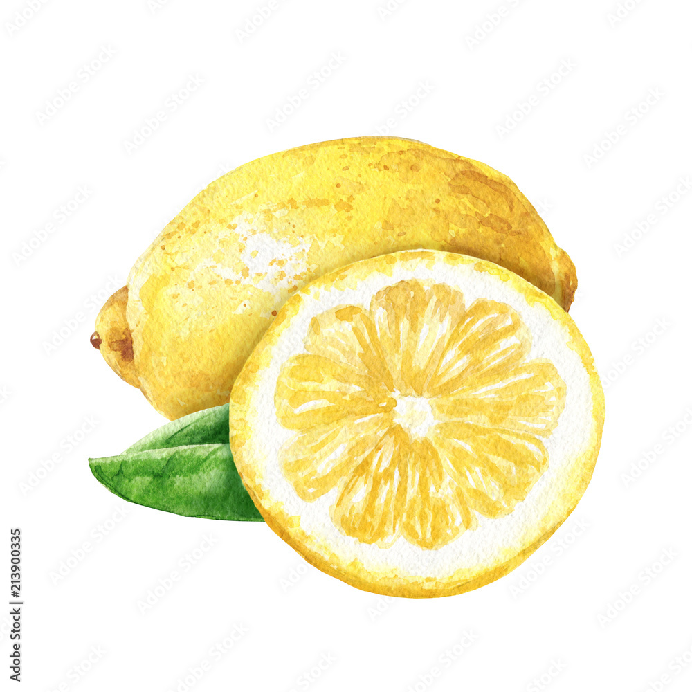 Hand drawn watercolor lemon with cut slice isolated on white background ...