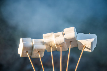 Cooking marshmallow, barbecue..