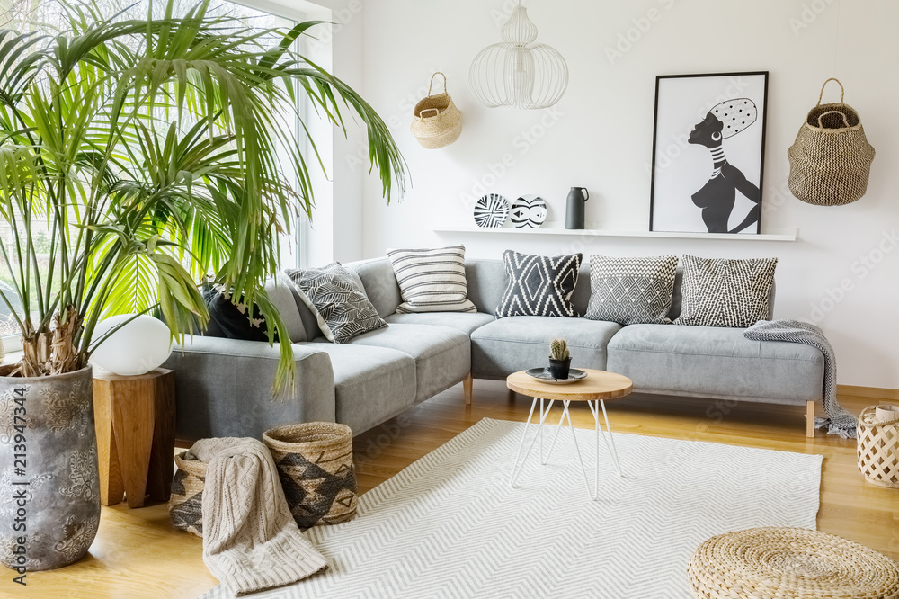 Plant Next To Grey Corner Sofa In African Living Room