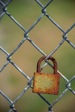 Rusted Lock On Fence