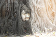 The famous sand-stone Ayutthaya-style head of the Buddha image in a tree’s root. with morning shine light  in Wat Phra Mahathat, Phra Nakhon Si Ayutthaya