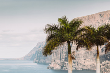 Wall Mural - Great view of Los Gigantes mountain cliff in Tenerife, Spain.