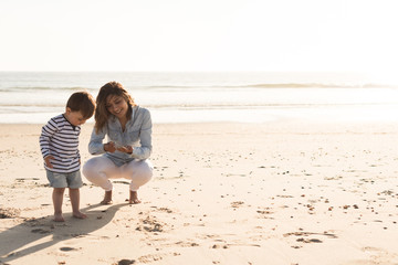 Wall Mural - Mother at the beach with toddler