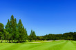 © show999 - landscape of japanese golf course in chiba (No1853)