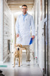 © LIGHTFIELD STUDIOS - smiling veterinarian standing with labrador dog in corridor of veterinary clinic