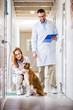 © LIGHTFIELD STUDIOS - two veterinarians with dog at veterinary clinic