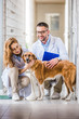 © LIGHTFIELD STUDIOS - two veterinarians squatting and palming cute dog at veterinary clinic
