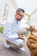 © LIGHTFIELD STUDIOS - side view of veterinarian holding dog paw at veterinary clinic