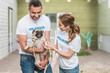 © LIGHTFIELD STUDIOS - happy volunteers of animals shelter holding pug dog