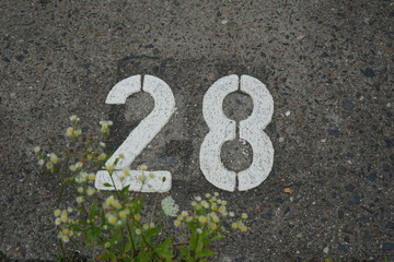 Asphalt Concrete Number 28 Twenty Eight