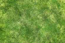 Green Textured Background With A Sponged Type Effect