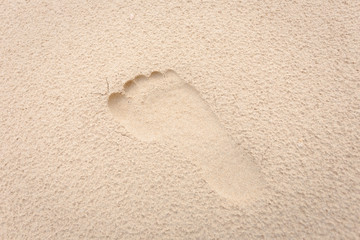 Wall Mural - foot print on yellow soft sand texture a bit rough