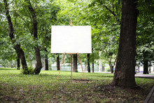 Easel With Canvas And Green Park Or Forest On The Background, 3d Rendering.