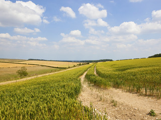 Poster - hillside agriculture