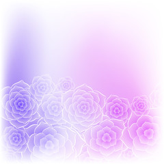 Wall Mural - Beautiful purple pink rose flower background. Background for your design.