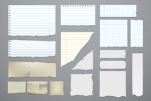 Vector Pieces Of Torn Notebook. Torn Pieces Of Paper Set. White Blank Paper Sheets In A Cage, In A Line And Aged. Elements For You Design. Eps 10