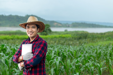 Wall Mural - Young attractive farmer with laptop standing in corn field.