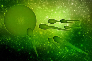 Poster - 
3d illustration showing sperms and egg