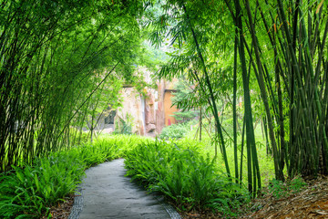 Poster - Shady stone walkway among ferns and green bamboo trees