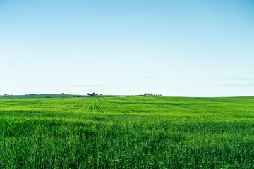 landscape with green farm field and blue sky