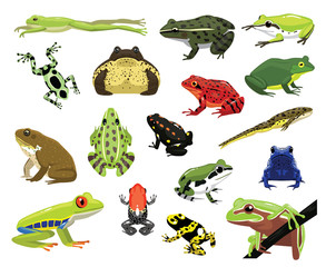 various frogs cartoon vector illustration