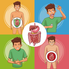 Poster - Set of digestive system cards collection vector illustration graphic design