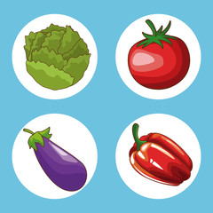 Poster - Set of food round icons vector illustration graphic design