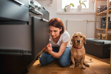 Wall Mural - Woman with dog building kitchen and using a cordless drill