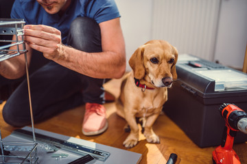 Wall Mural - Man with dog building kitchen cabinets