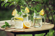 Detox water with lemon and mint in jars on the garden table.