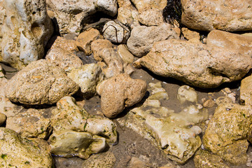 The surface of an old rock with cracks. Old rock texture (wild background)