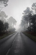 © Sarah - Route des Landes