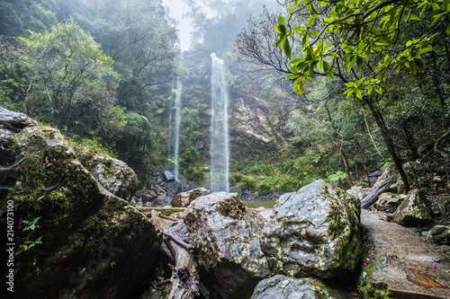 Fotografia, Obraz Twin Falls hike in the Springbrook National Park, Australia
