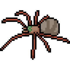 Poster - vector pixel art spider