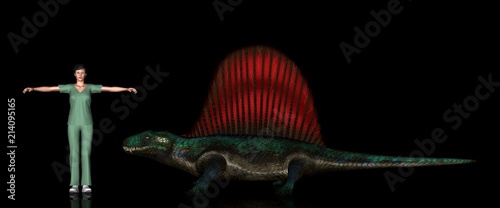 恐竜縮尺図 ディメトロドン Stock Illustration Adobe Stock 恐竜縮尺図 ディメトロドン Stock Illustration Adobe Stock