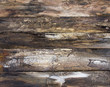 Vintage wood surface