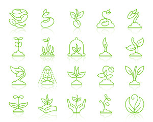 Sprout simple color line icons vector set