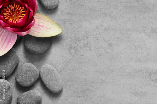 flower-lotus-and-stone-zen-spa-on-grey-background