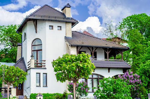 Fotografie, Obraz House Mediterranean style, green trees and lilac bushes in front of