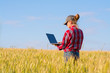© denklim - Girl farmer standing in a wheat field with a laptop.