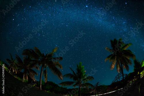 Night Sky Over Coconut Palm Trees On A Beach Rocks Sea Or