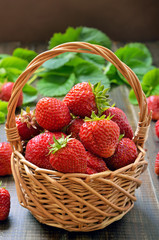 Wall Mural - Strawberries