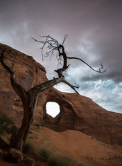 Wall Mural - Ear of the Wind, Monument Valley