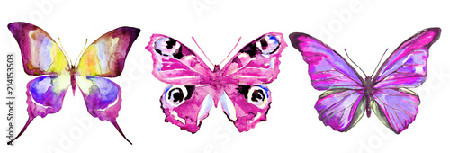 Fototapeta do kuchni beautiful color butterflies, set, watercolor, isolated on a white